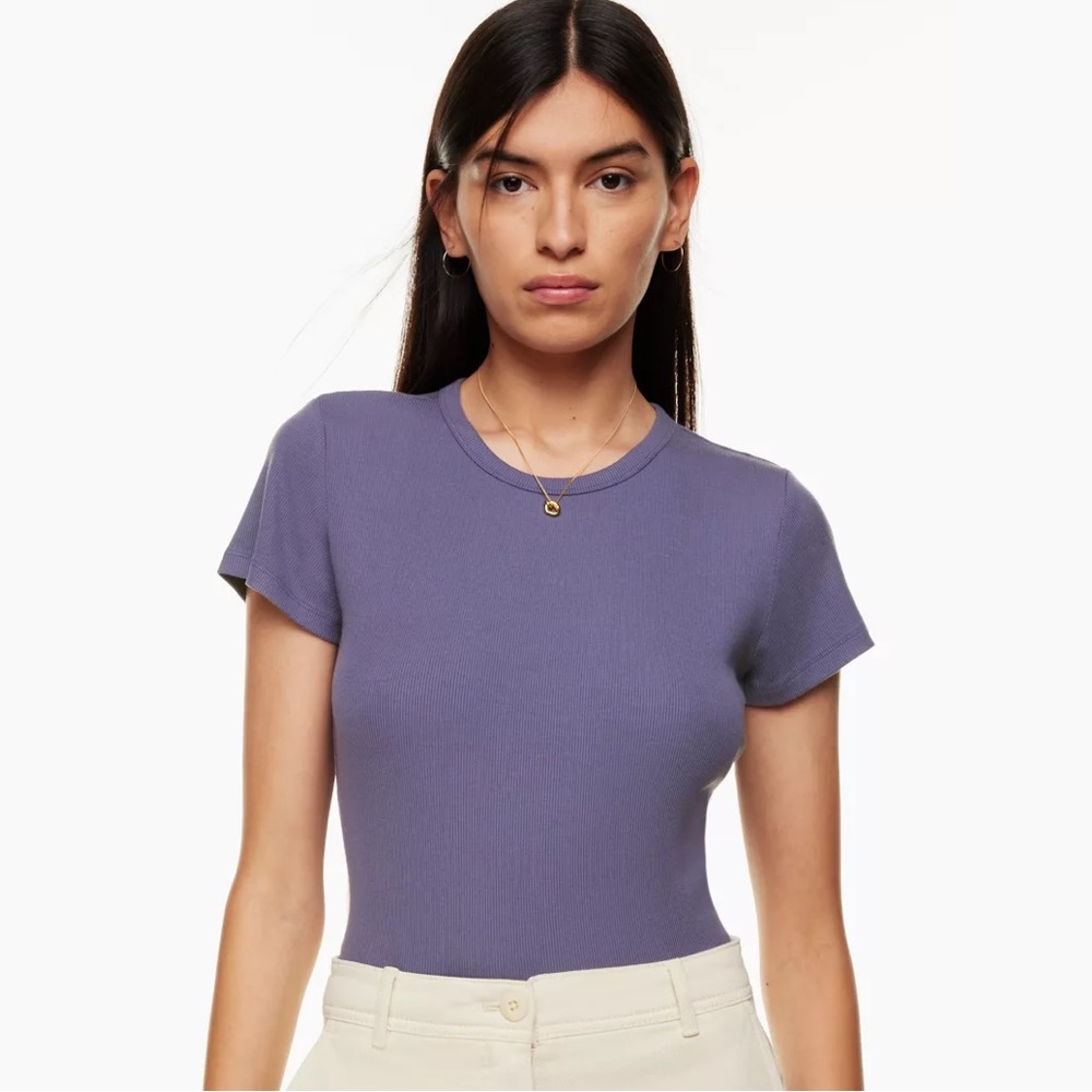 Aritzia Wilfred Staple Go-To T-Shirt